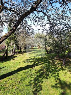 Garten - 