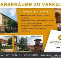 Historische Gewölbekeller in der alten Brennerei im Rittergut Lichtenwalde