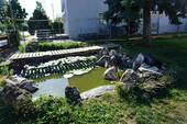Wer träumt nicht vom eigenen Haus am See? - 4 Zimmer Mehrfamilienhaus, Wohnhaus in Ingolstadt
