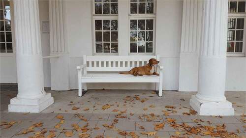 Beispielfoto - Provisionsfrei: Halle, Lager, Büro in A1-Nähe zum Superpreis!