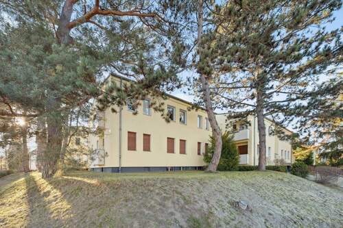 Bild 1 - Komfortable Wohnung mit drei Balkonen nahe Waldsee und Schlachtensee