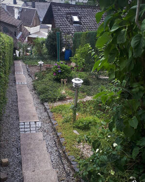 Bild10 - 