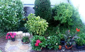 Bild9 - 