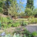 Gartenansicht - 