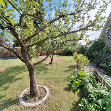 Gartenansicht - 