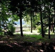 865m² Grundstück am ruhigen Waldrand | Ideal für Einfamilienhaus oder Doppelhaus - Münster Mecklenbeck