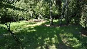 Grundstück - Einfamilienhaus zum Kaufen in Münster