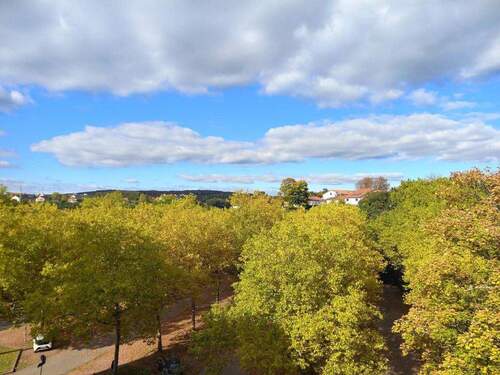 Ausblick aus der Küche - 