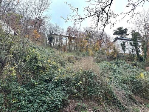 Ansicht - Grundstück zum Kaufen in Schriesheim