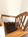 Innentreppe - 
