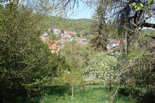 Blick zur Stadt - Grundstück in Bad Blankenburg zum Kaufen