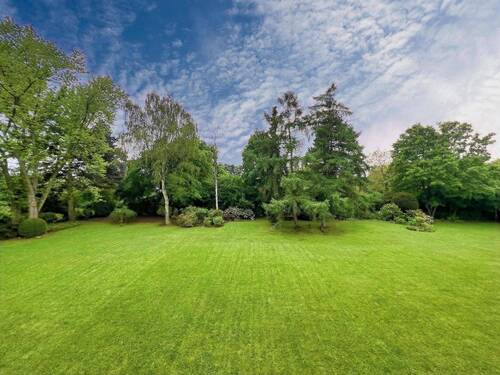 Aussicht in den Garten - 