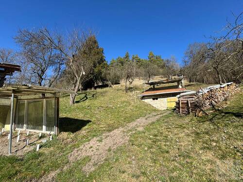 Garten mit Erdkeller und Holzlager - 