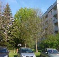 neusanierte Zweiraumwohnung im Grünen mit Südbalkon im 1. Obergeschoss - Reinsdorf