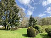 Ansicht Richtung Wald - 