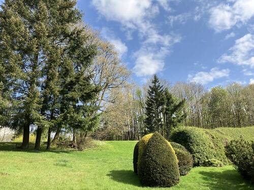 Ansicht Richtung Wald - 