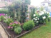 Gartengrundstück - 