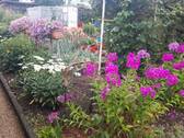 Bild 14 - 