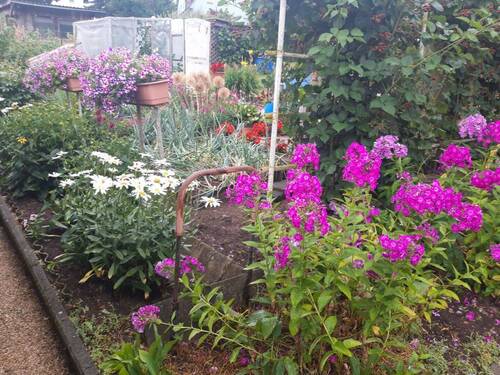 Bild 14 - 