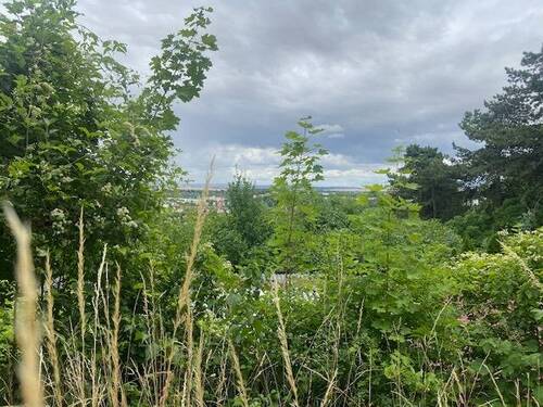 Weitsicht Bild 4 - 