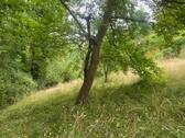 Grundstück oberhalb Bild 2 - 