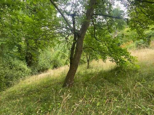 Grundstück oberhalb Bild 2 - 
