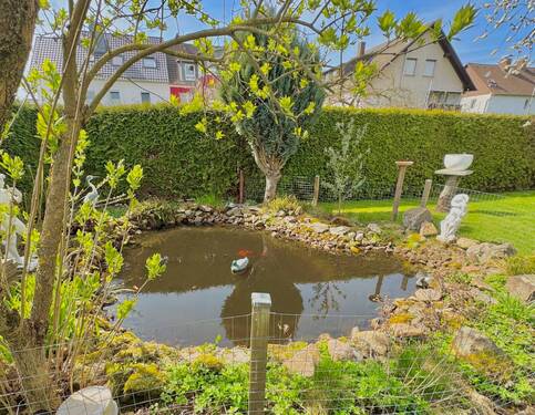 Gartenteich - 