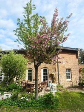 Bild 3 - 3 Zimmer Einfamilienhaus in Hohen Neuendorf