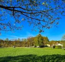 Viel Platz in ländlicher Idylle! - Ringenhain