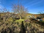 Weitläufiges Grundstück mit Blick zum Haus - 