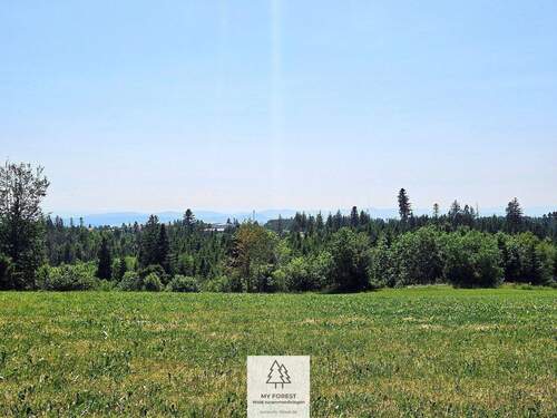 waldverkauf-hoechenschwand_28.jpg - 