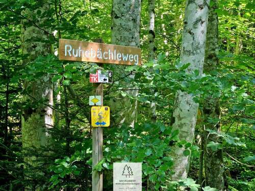 waldverkauf-hoechenschwand_08.jpg - 