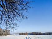 Winterspaziergang - 