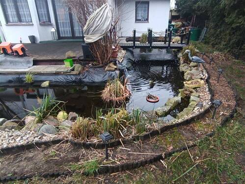 Teich Terrass - 