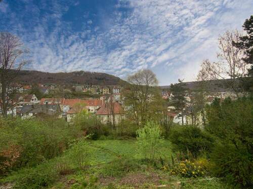 Ausblick vom Garten - 