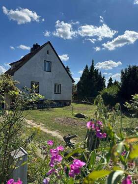 Bild 1 - Verstecktes Juwel: Grundstück mit altem Haus