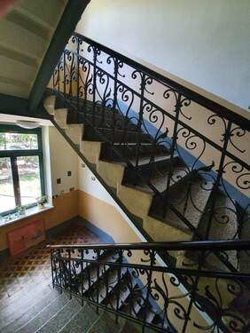 Foto 14.05.20, 14 50 41 (4) - 