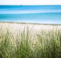 Einmalige Gelegenheit mit eigenem Wald! - Nordwestmecklenburg - Landkreis - Dassow Kaltenhof