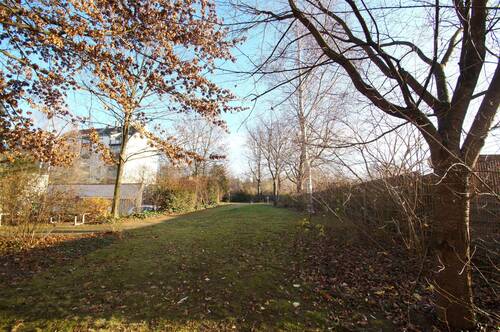 Gemeinschaftsgarten - 