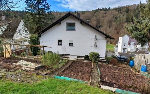 Rückansicht - 8 Zimmer Mehrfamilienhaus, Wohnhaus zum Kaufen in Erbach