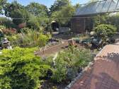 Garten Westseite - 