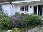 Garten - Blick zur Terrasse - 