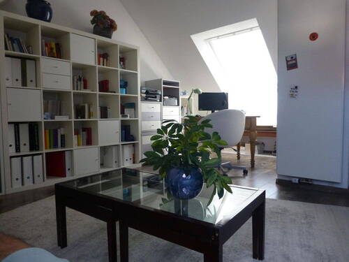 DG Studio - 