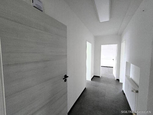 K800_20241115_131220_resized - 