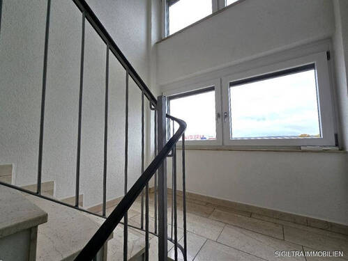 K800_20241115_131036_resized - 