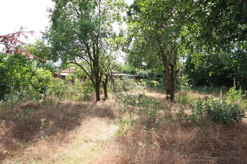 Garten - 