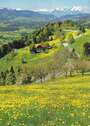 Die Queralpenstraße - Richtung Weiler - 