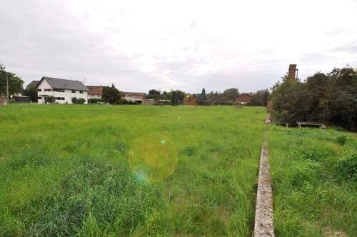 Ansicht Grundstück_2.jpg - Grundstück inmitten der Seenlandschaft Hainer See V2