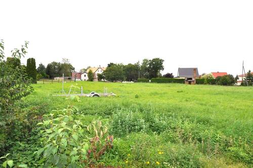 Ansicht Grundstück gesamt.jpg - Grundstück zum Kaufen in Neukieritzsch