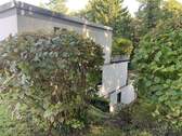 IMG 4167 - 